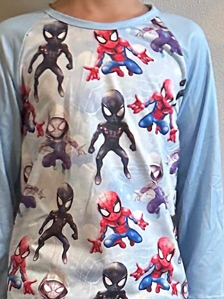 Spider Dude Long Sleeve Raglan