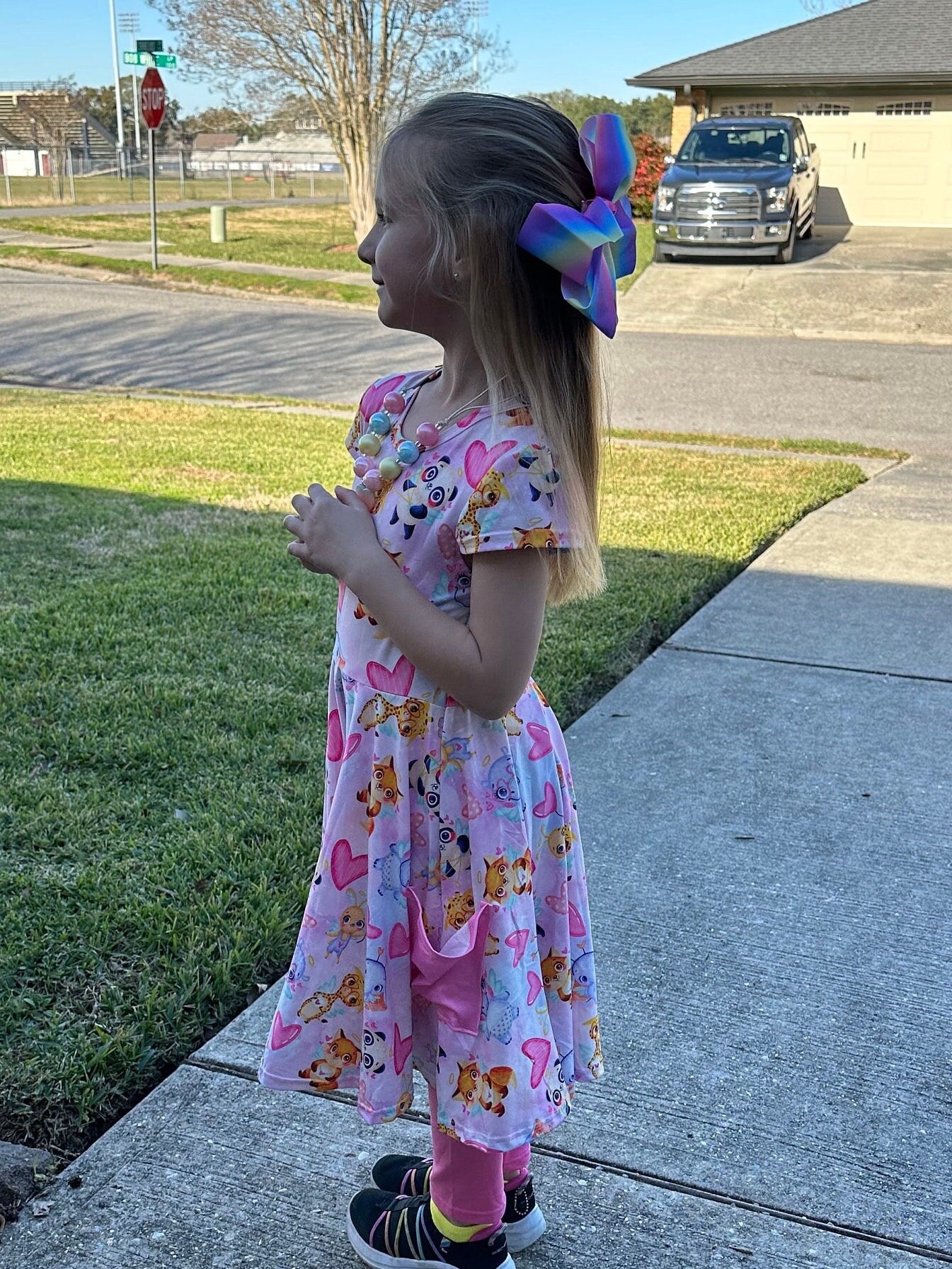 Baby Animals Pocket Twirl Dress