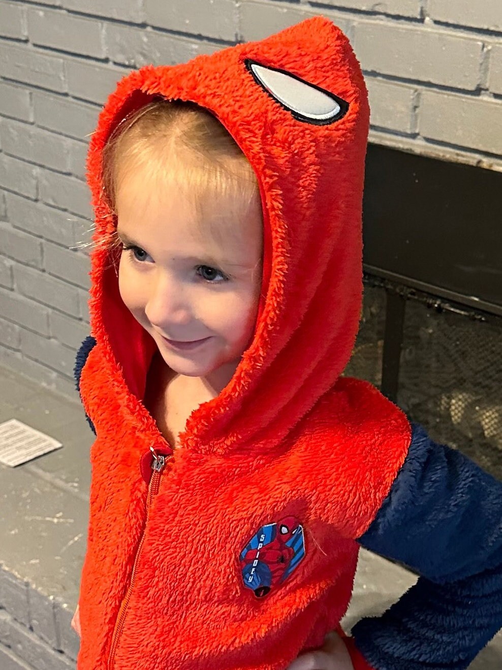 Spider Guy Zip Up Fleece Hoodie