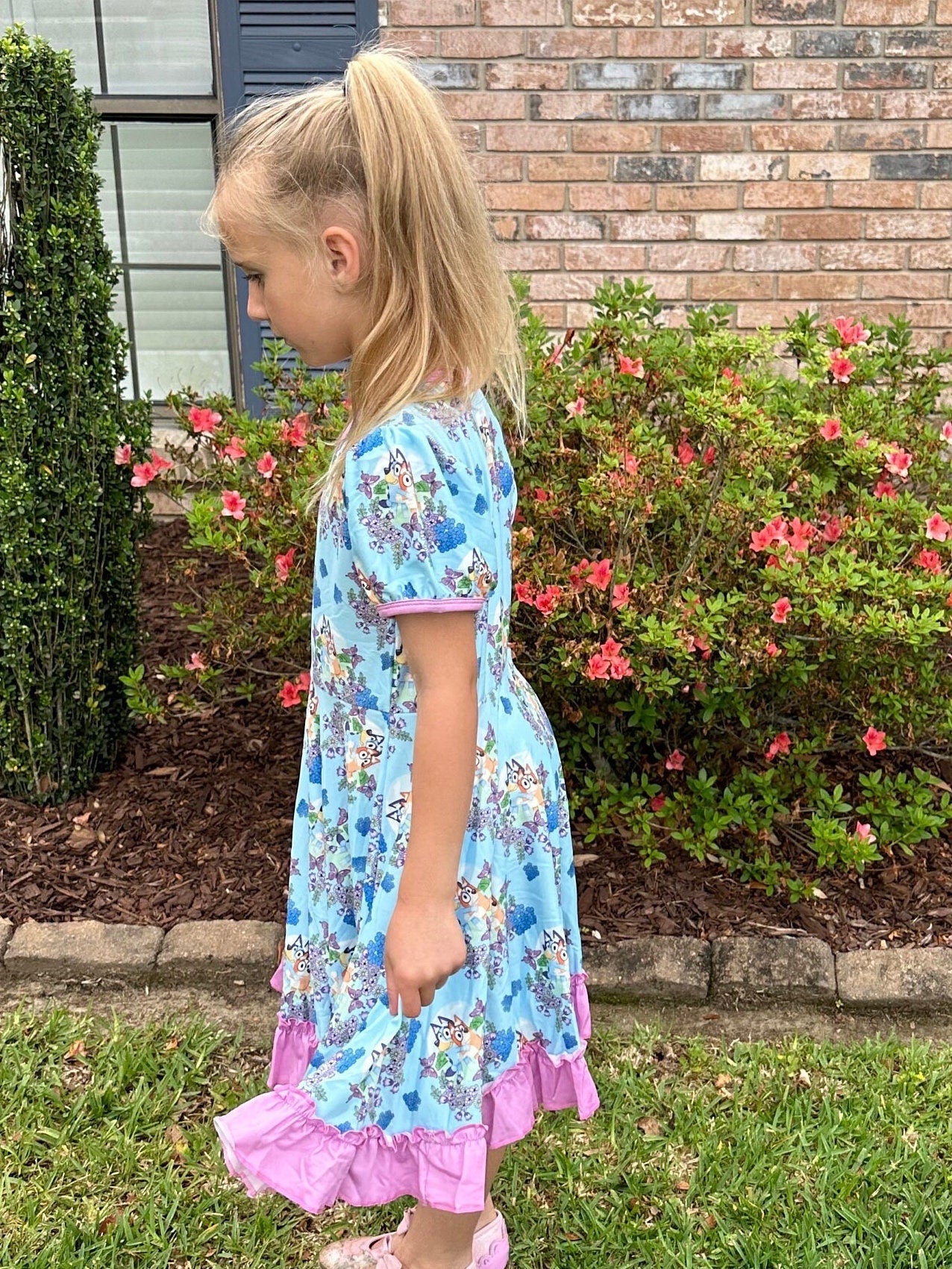 Floral Butterfly Blue Dog Twirl Dress