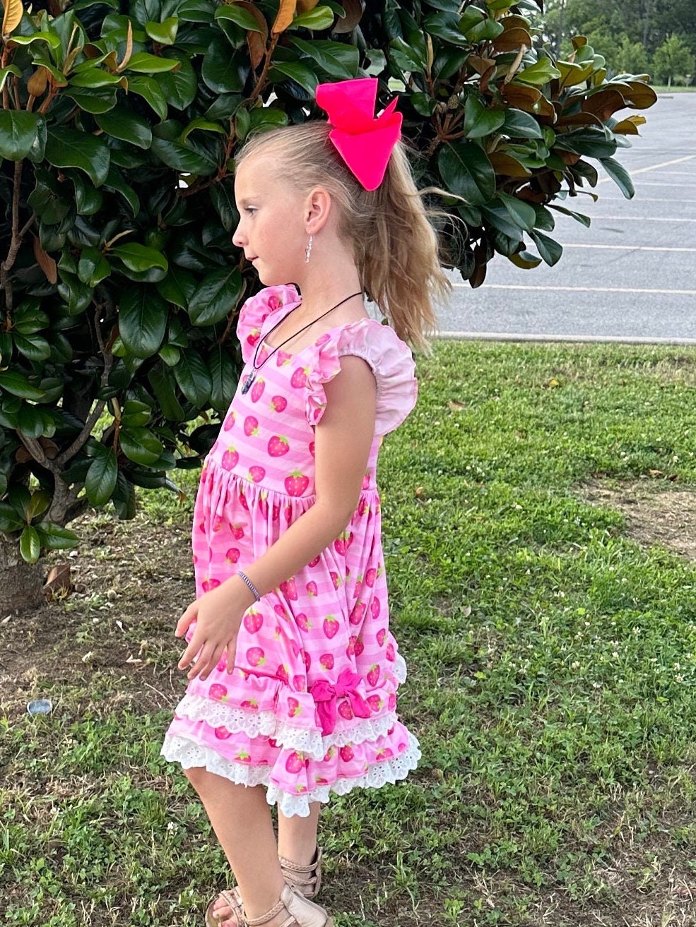 Strawberry Lace and Ruffle Twirl Dress