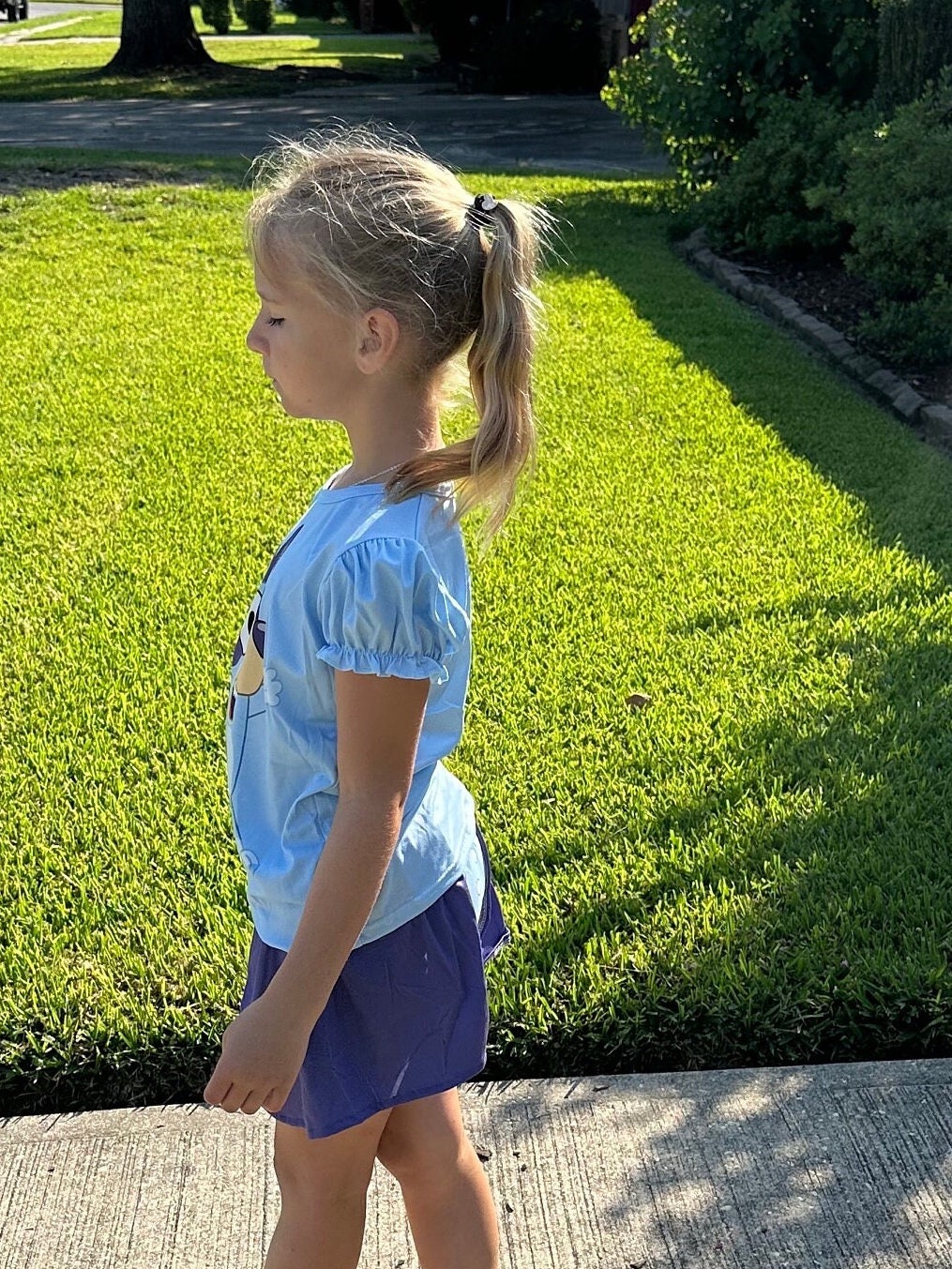 Blue Dog Short Set