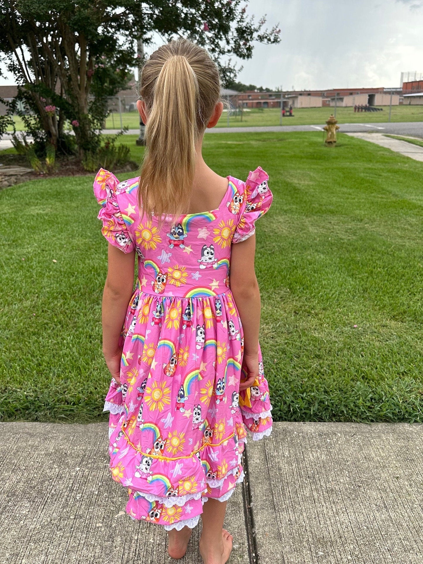 Ruffle and Lace Pink Blue Dog and Rainbows Twirl Dress