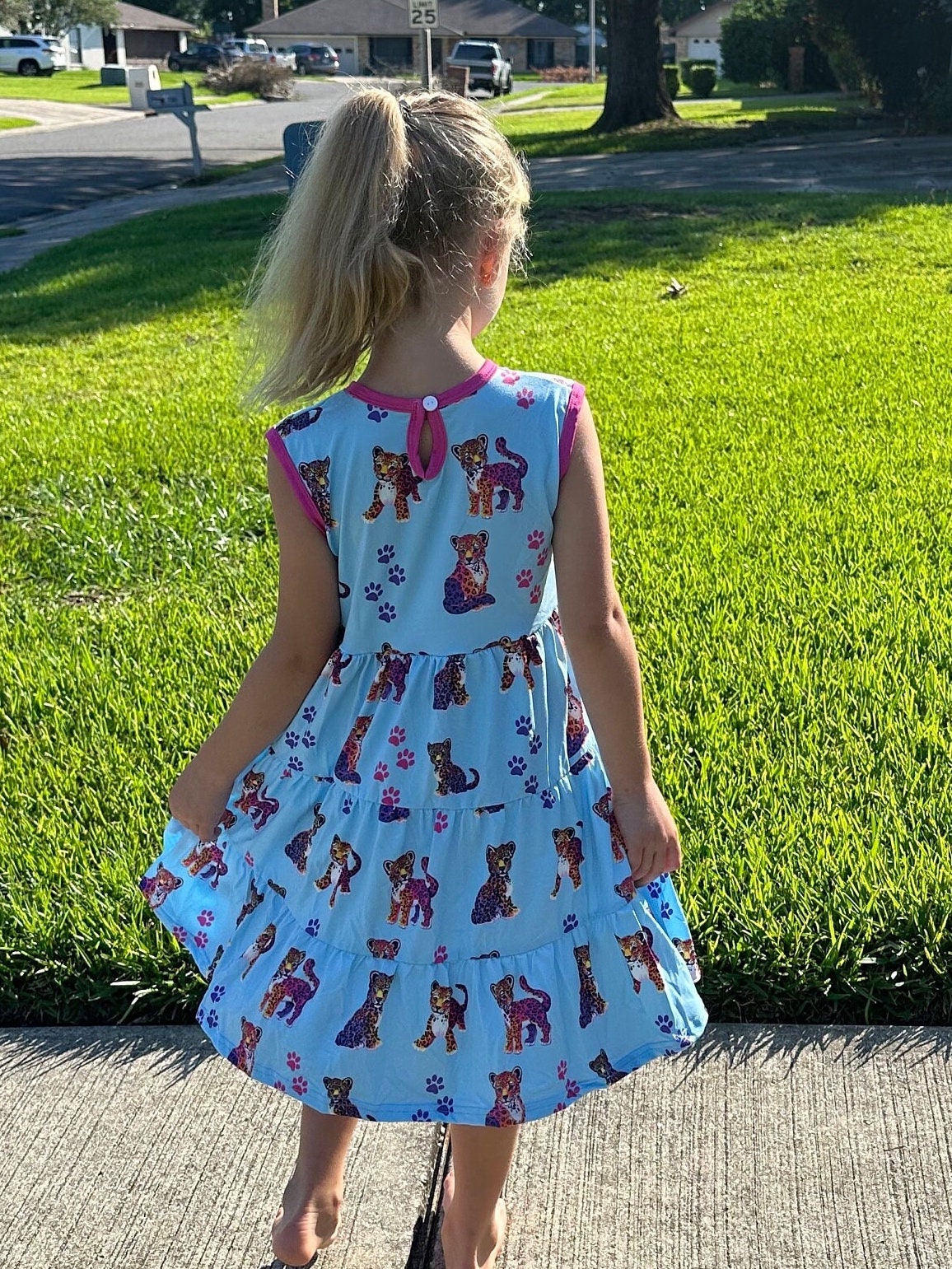 Paws and Rainbow Cheetah Tiered Tank