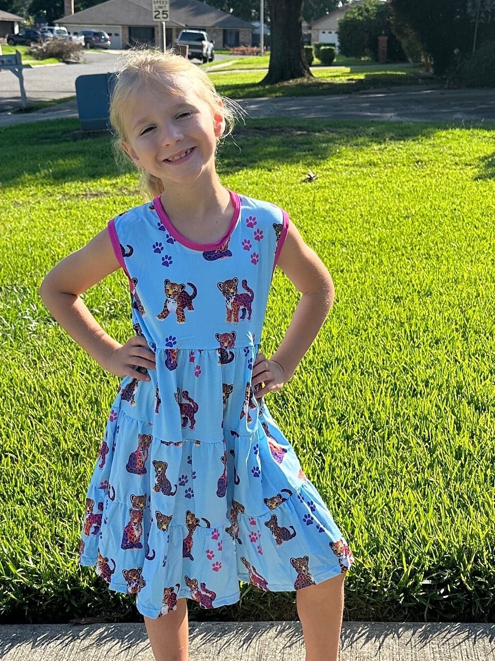 Paws and Rainbow Cheetah Tiered Tank
