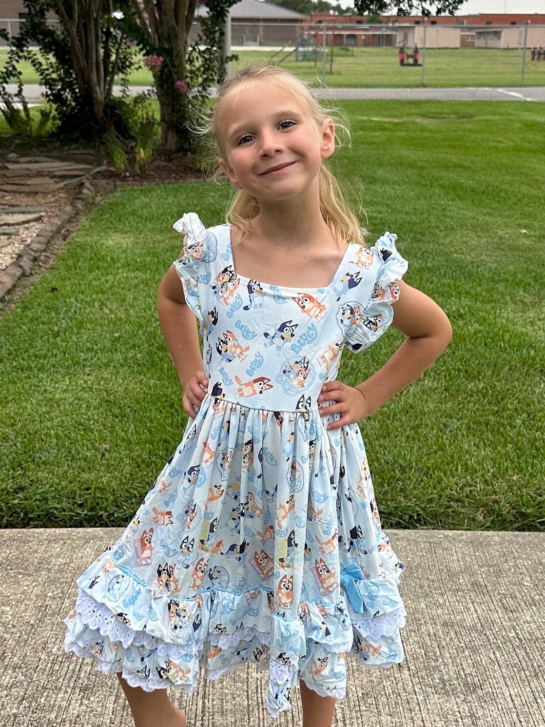 Lace and Ruffle Blue Dog Twirl Dress