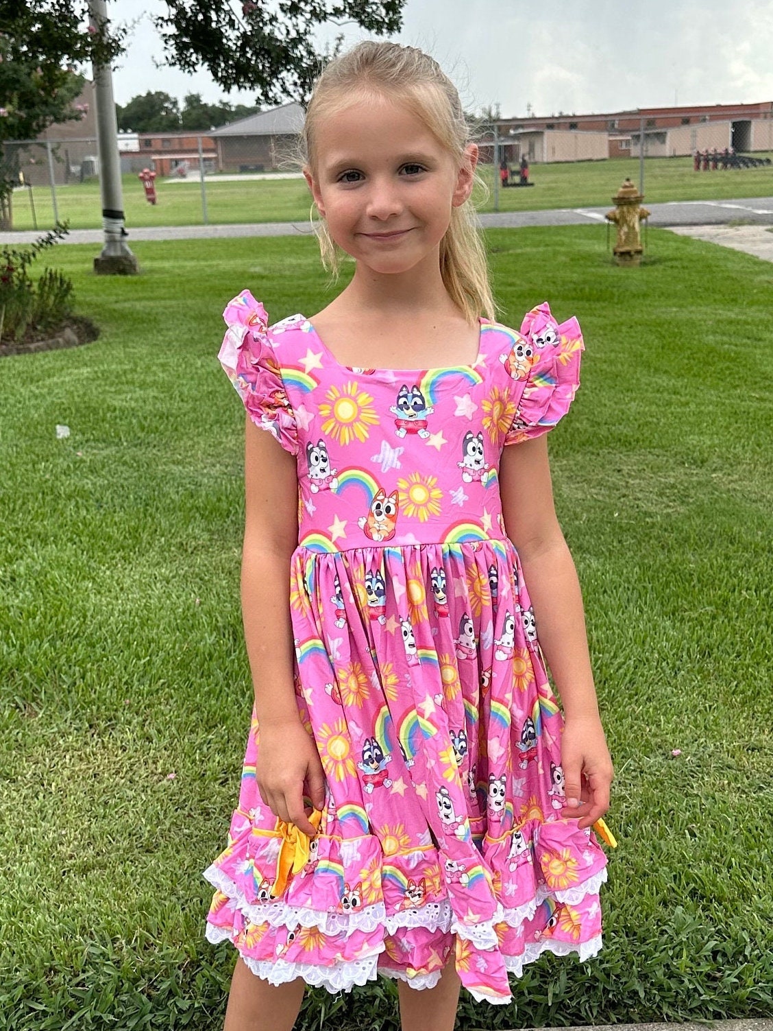 Ruffle and Lace Pink Blue Dog and Rainbows Twirl Dress