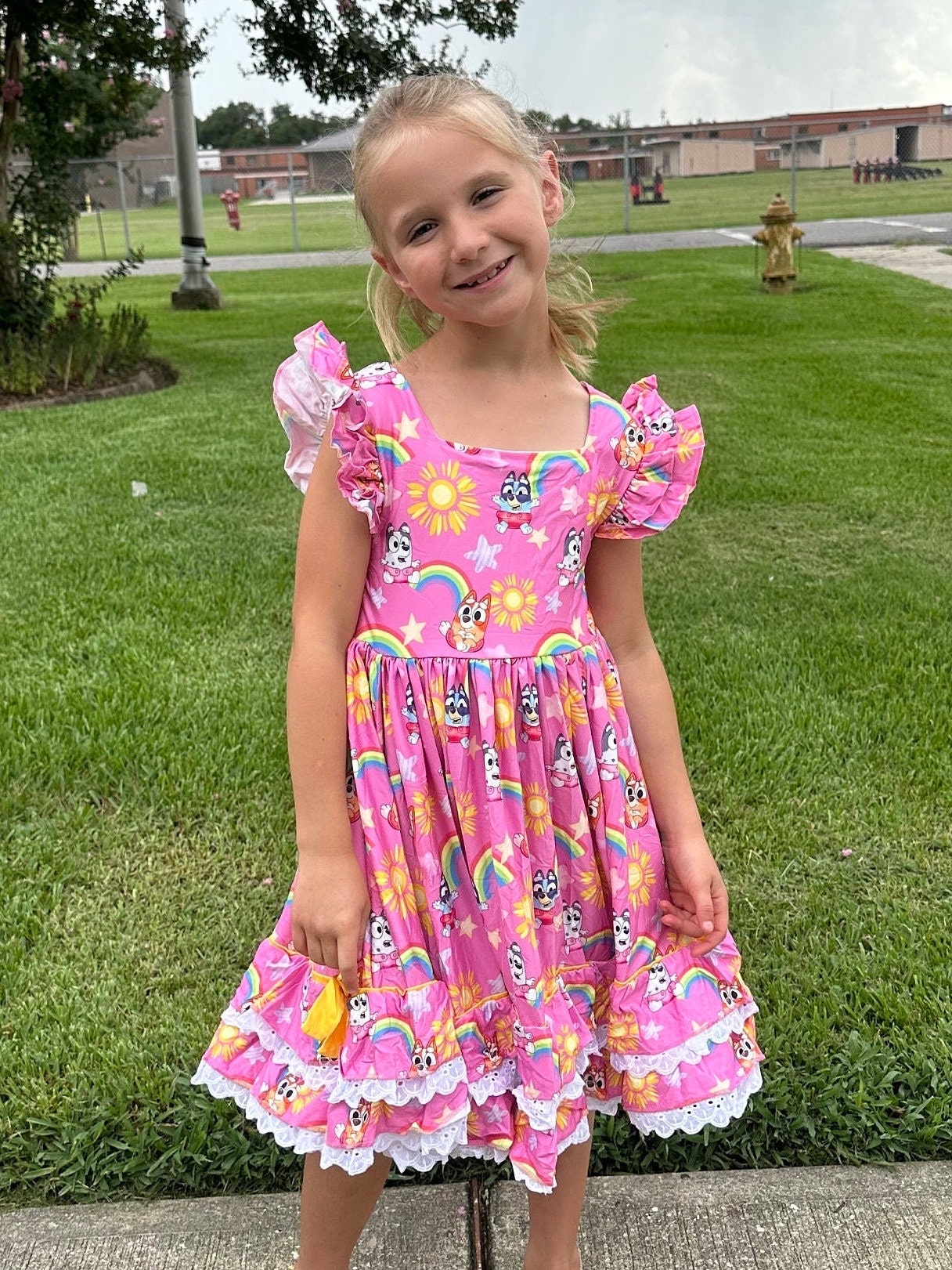 Ruffle and Lace Pink Blue Dog and Rainbows Twirl Dress