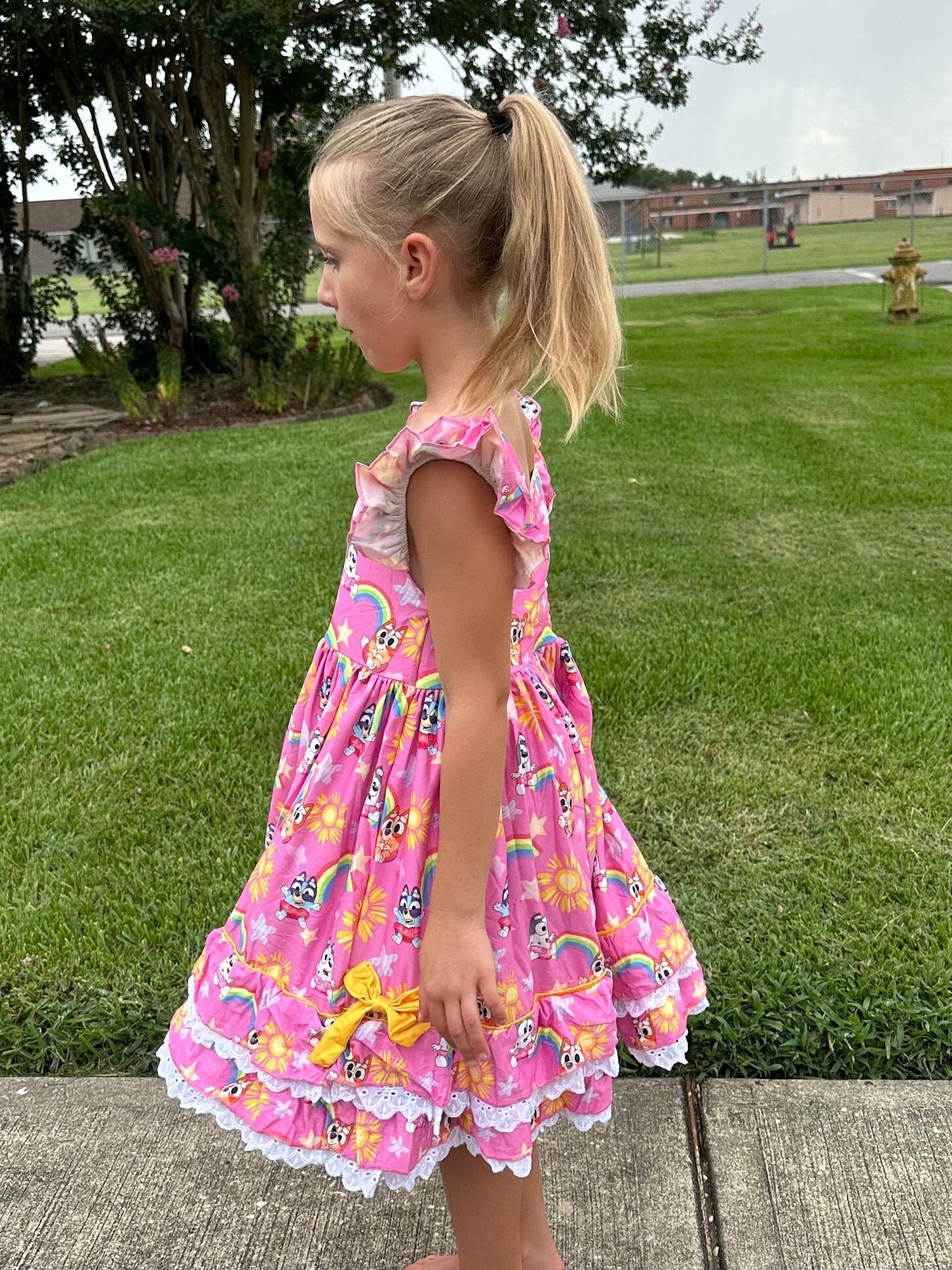 Ruffle and Lace Pink Blue Dog and Rainbows Twirl Dress