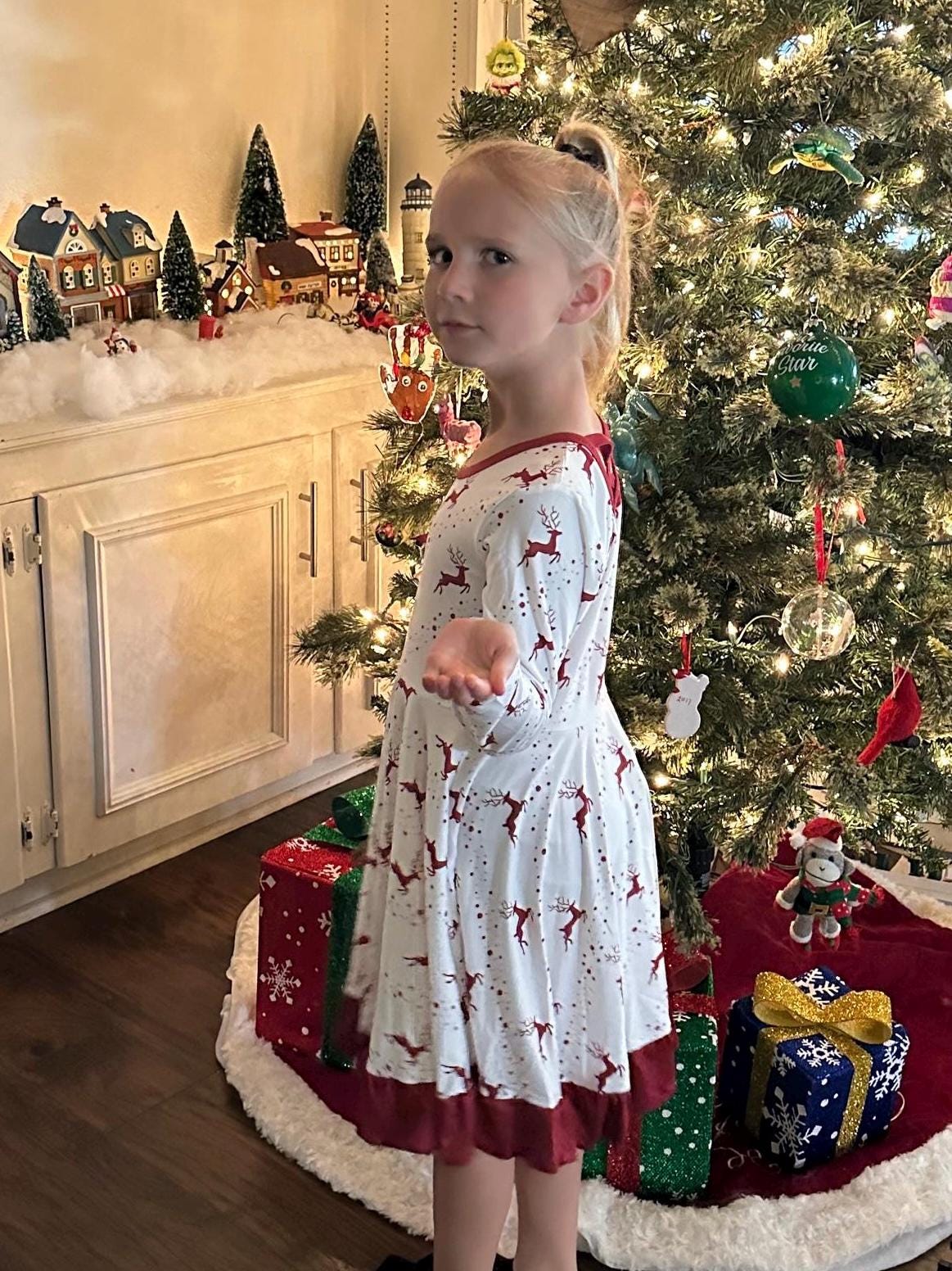Reindeer Nights Twirl Dress