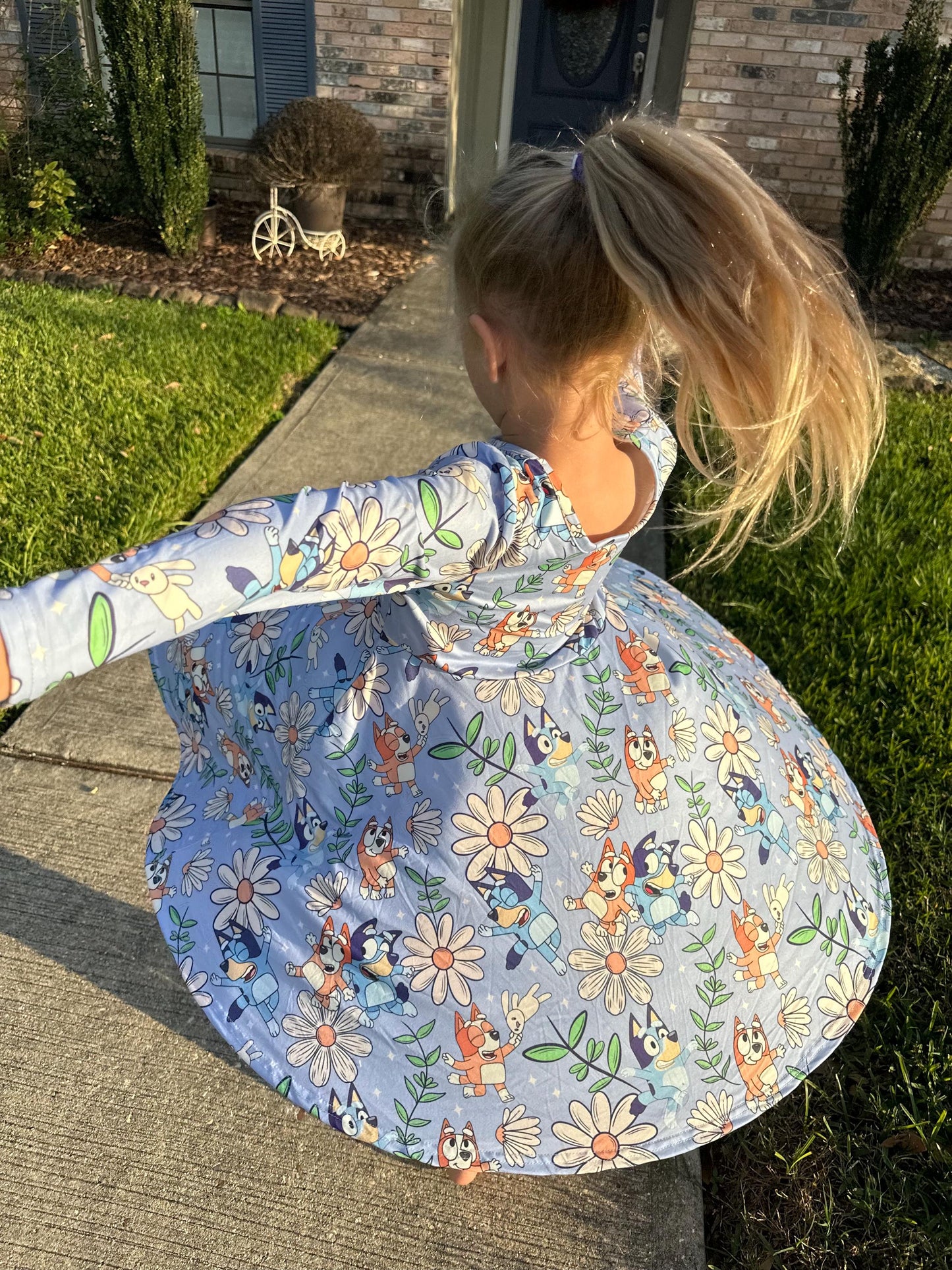Blue Dog and Daisys long sleeve twirl dress