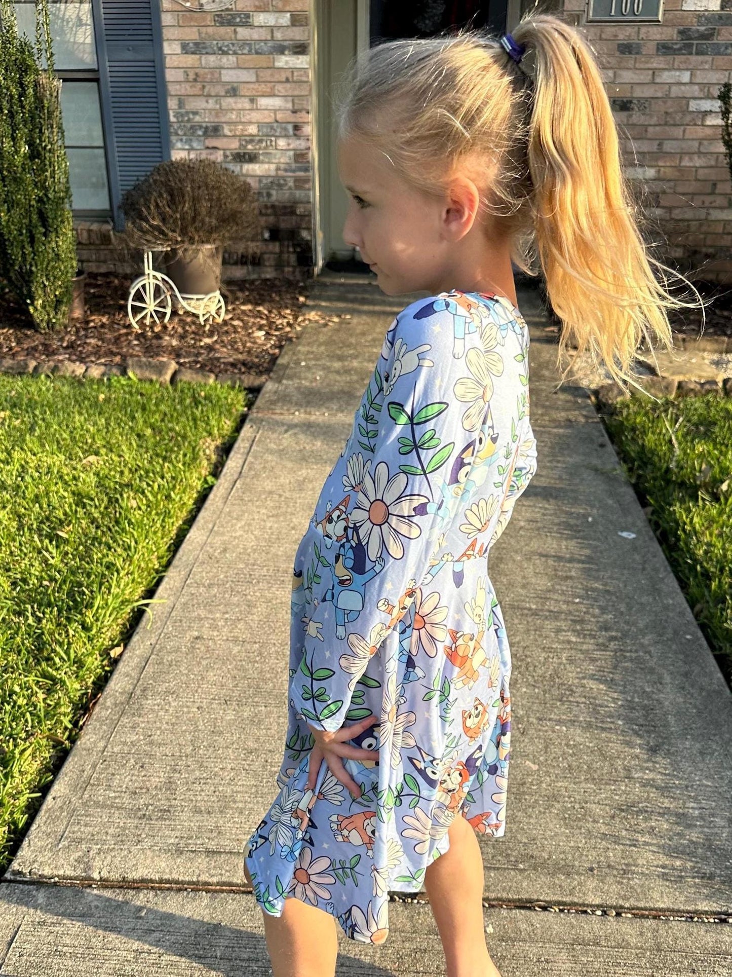 Blue Dog and Daisys long sleeve twirl dress