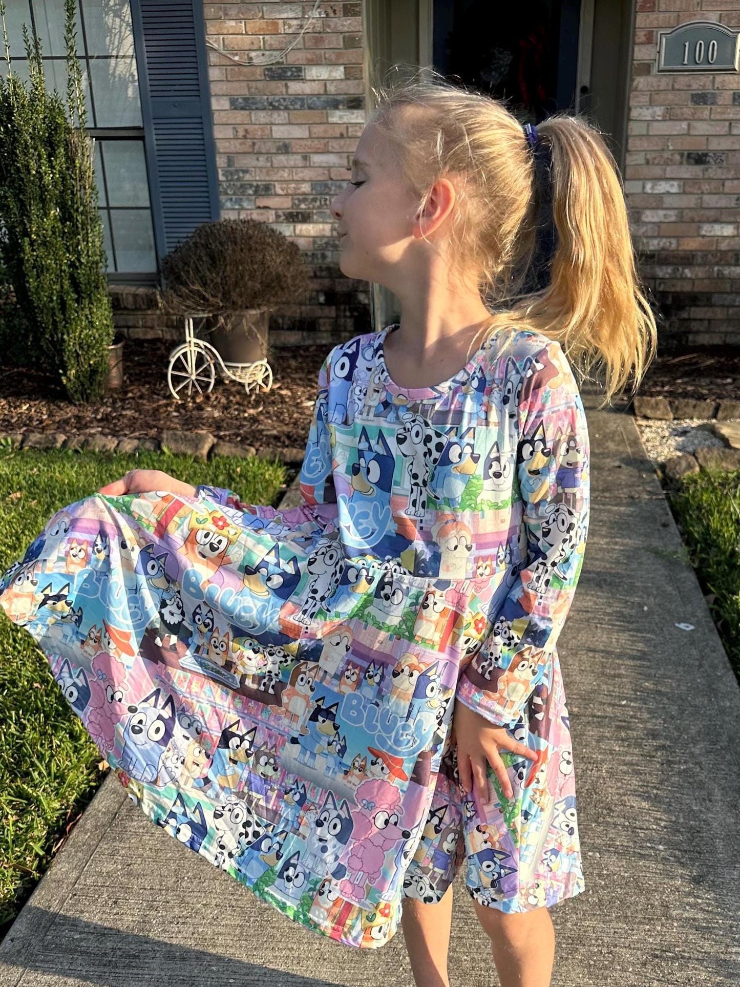 Blue Dog and Friends long sleeve twirl dress