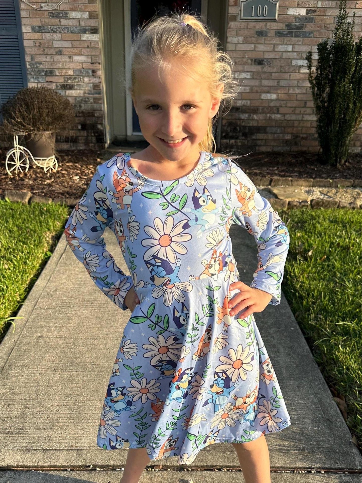 Blue Dog and Daisys long sleeve twirl dress