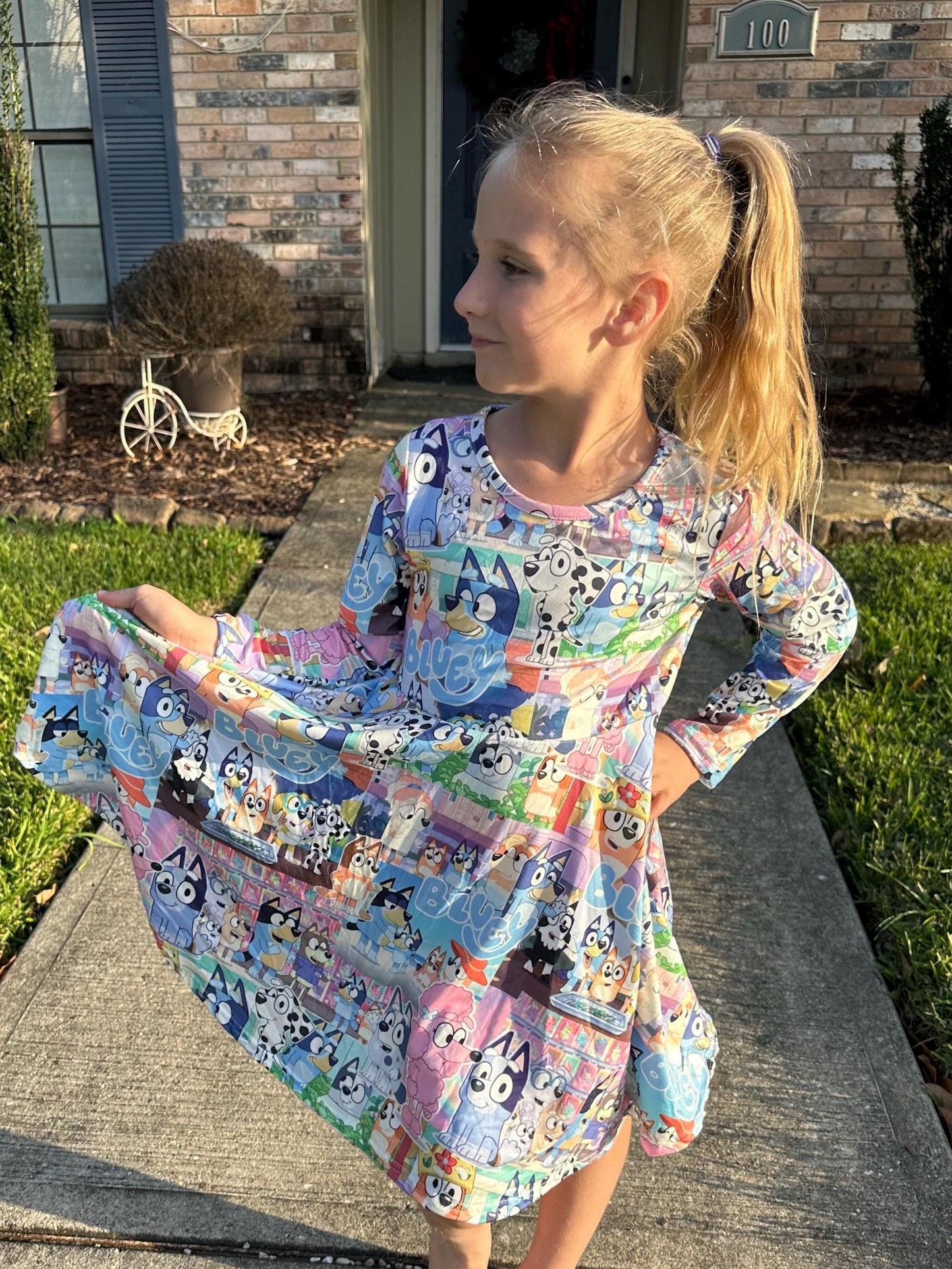 Blue Dog and Friends long sleeve twirl dress