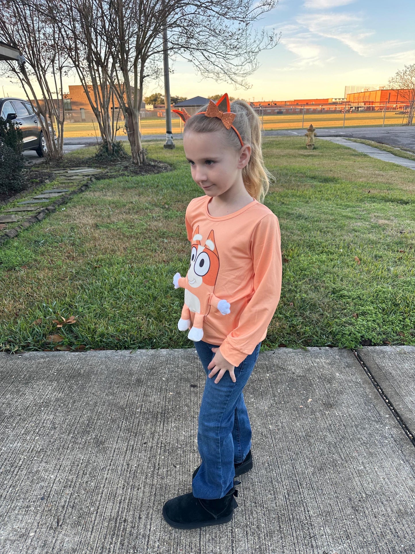 Brown/orange Dog 3D Plush Shirt