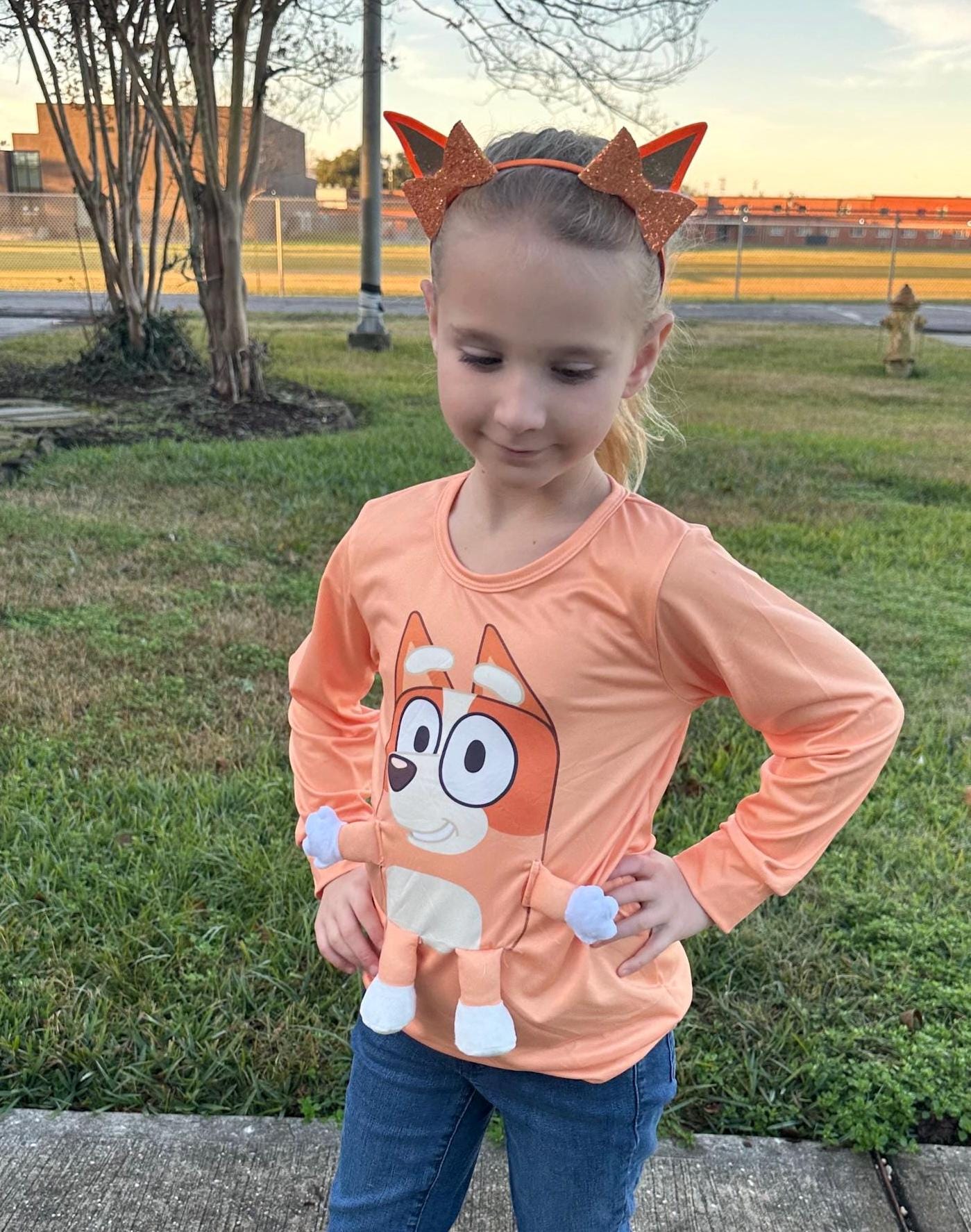 Brown/orange Dog 3D Plush Shirt