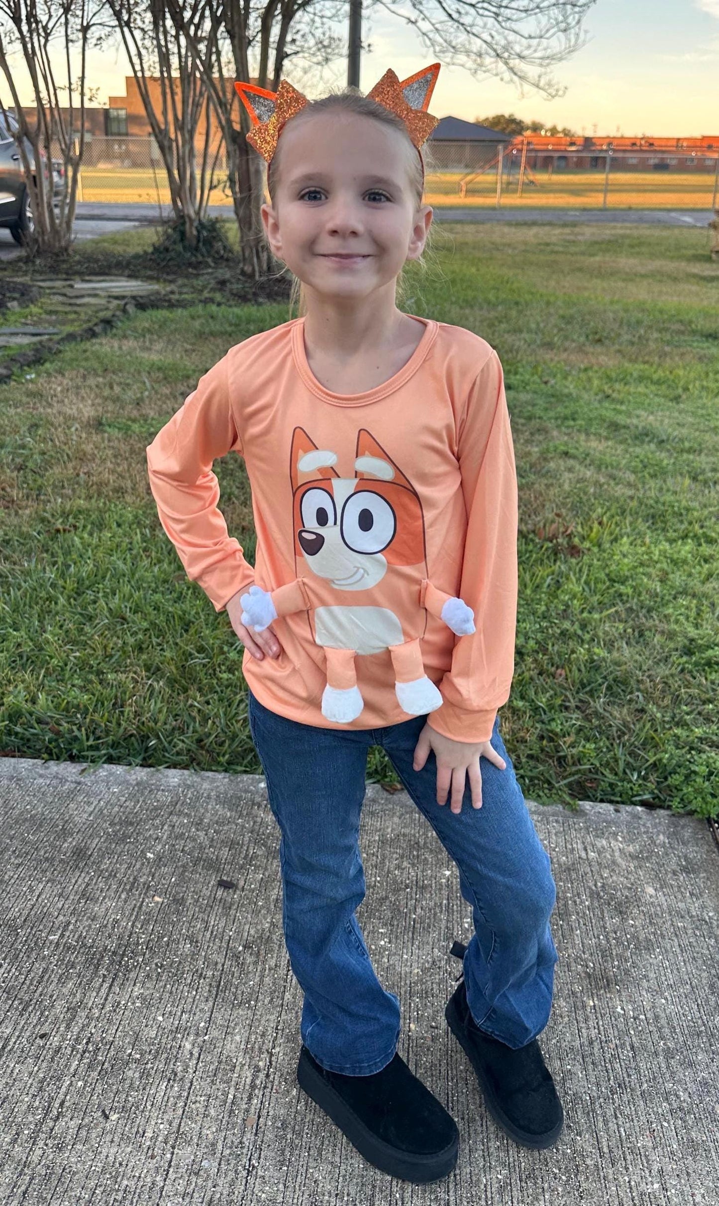 Brown/orange Dog 3D Plush Shirt