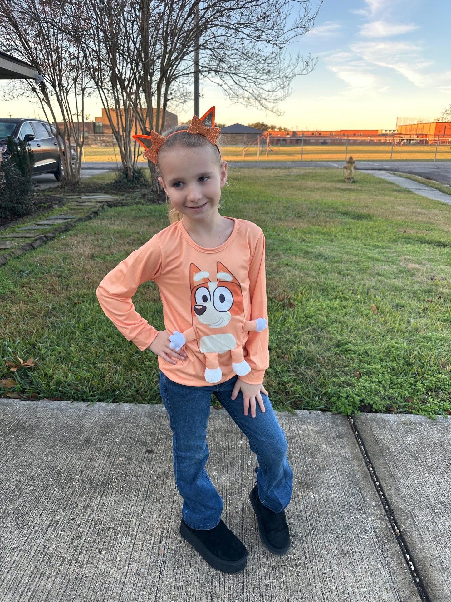 Brown/orange Dog 3D Plush Shirt