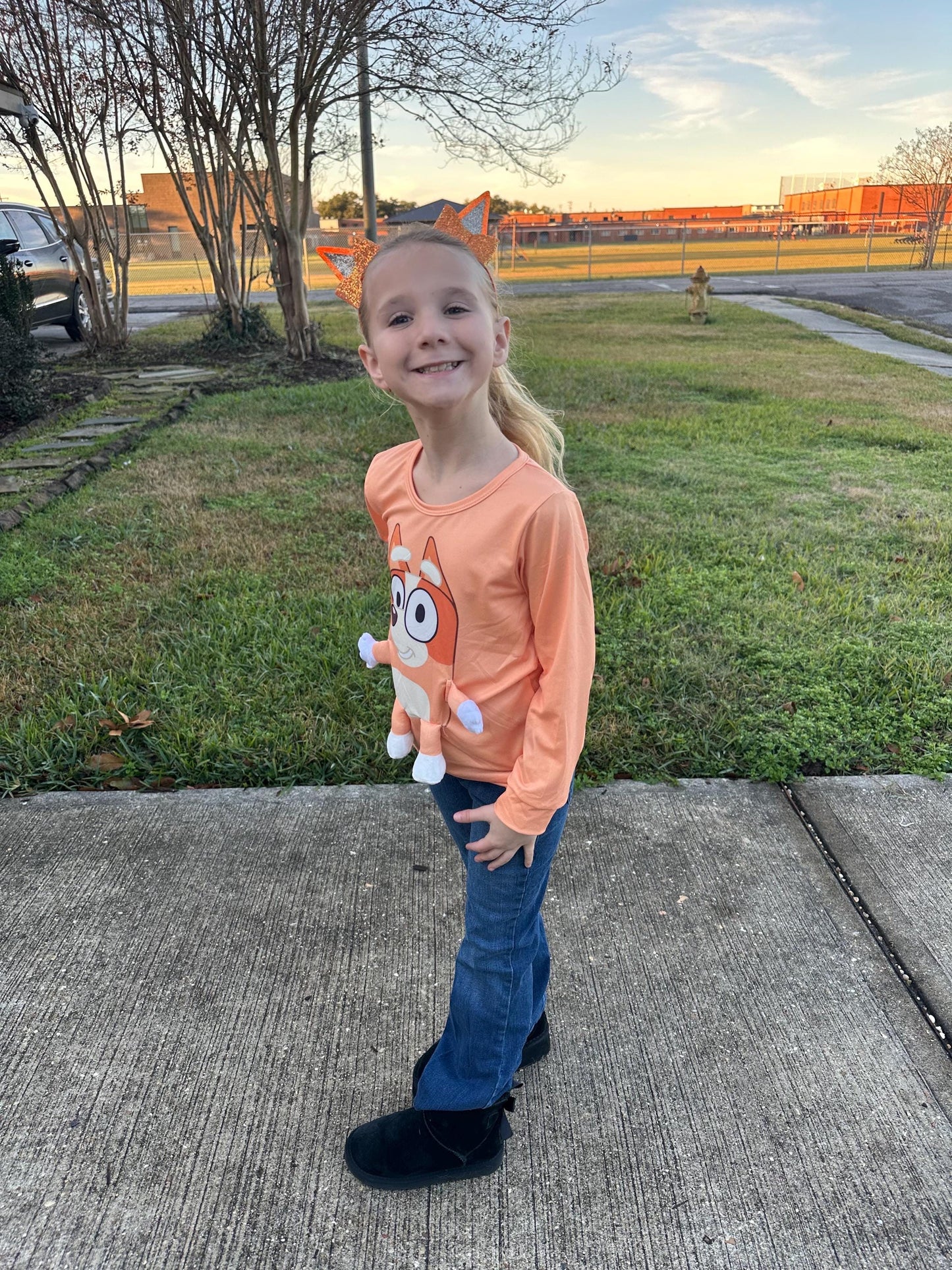 Brown/orange Dog 3D Plush Shirt