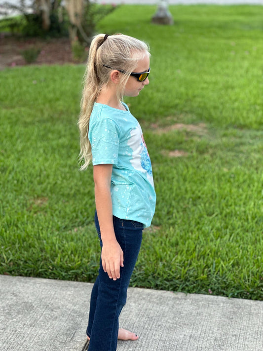 Ice Princess Inspired raglan t shirt