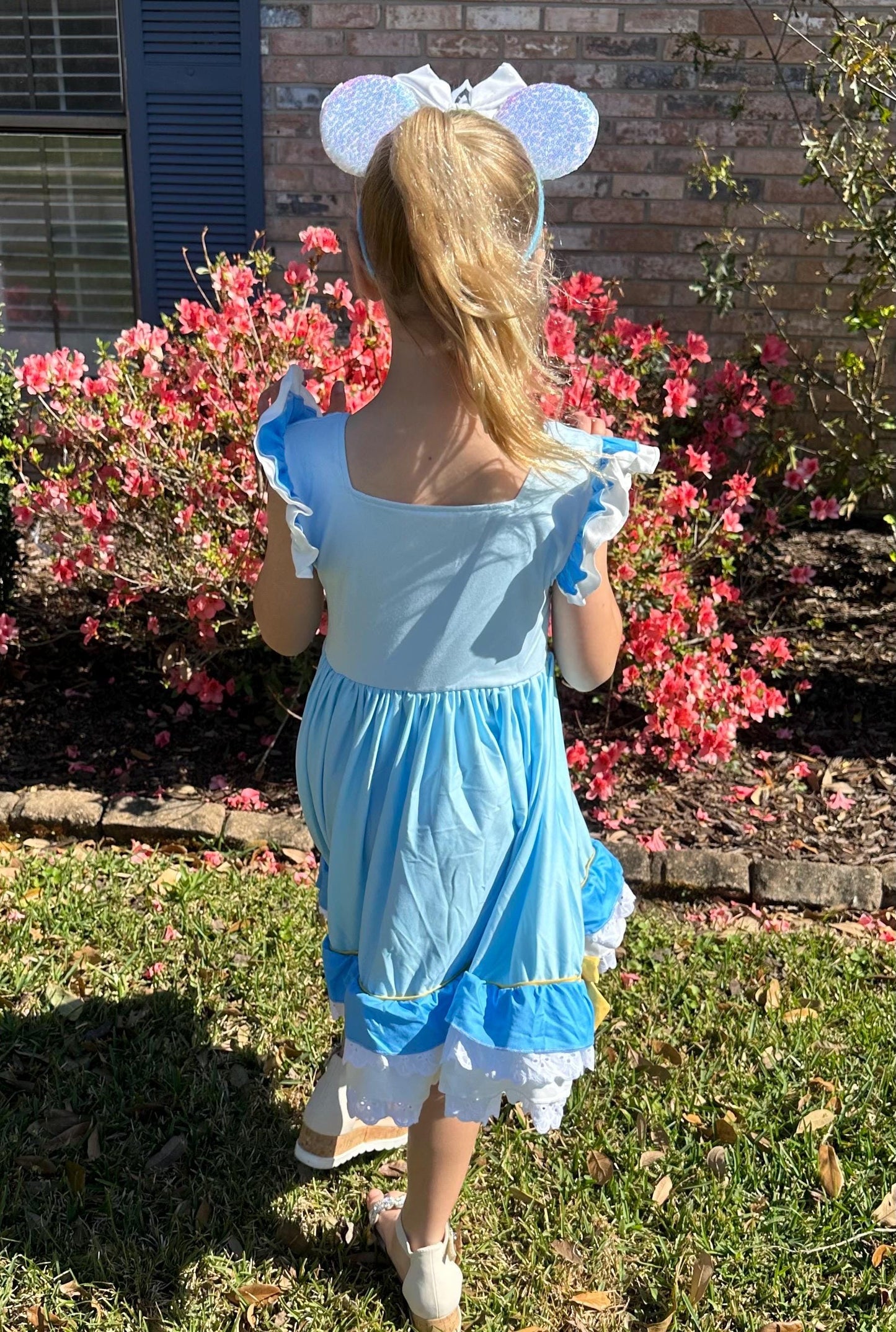 Glass Slipper Princess Inspired Ruffle and Lace Twirl Dress