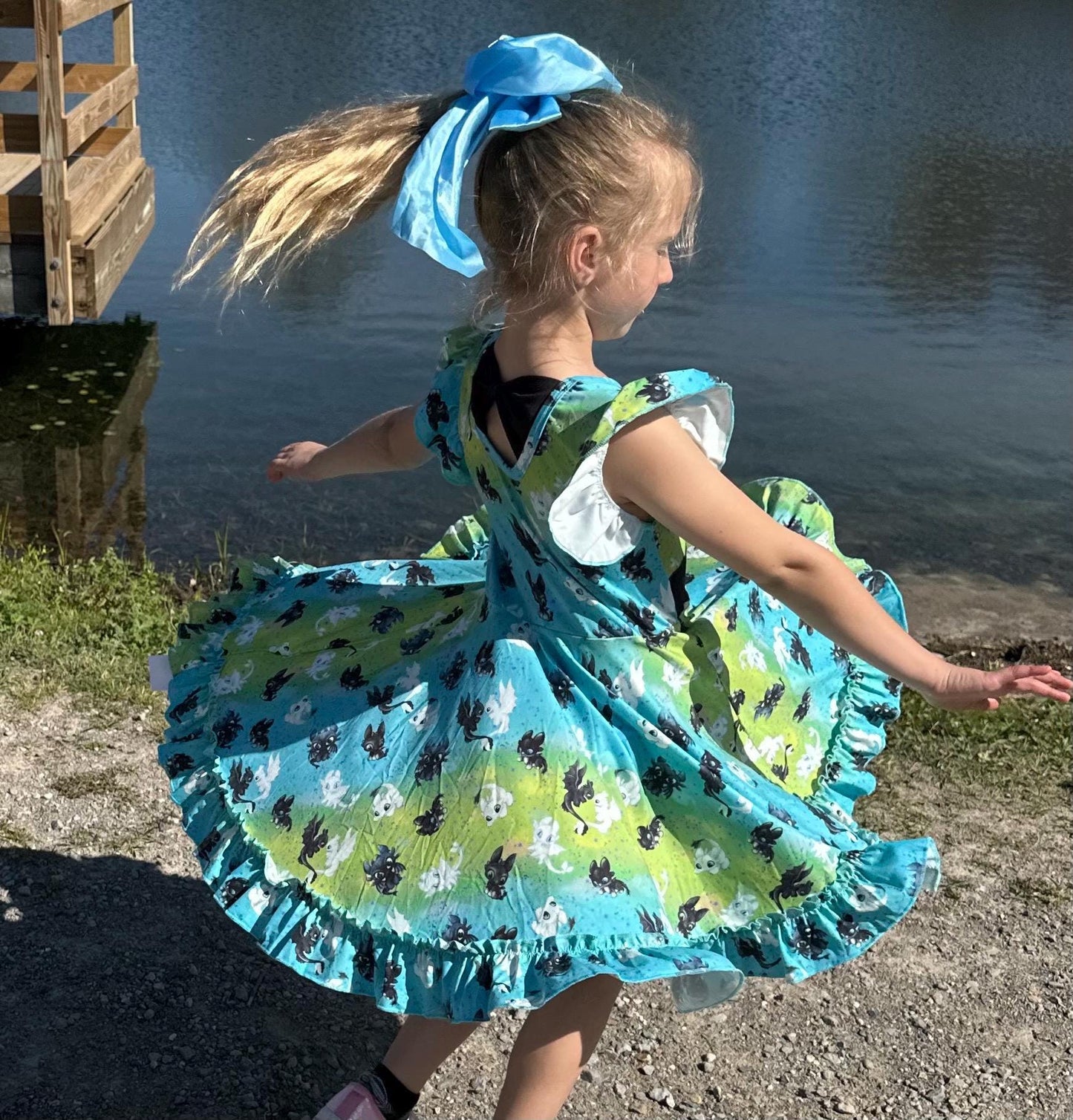 Dragon Training Bow Back Twirl Dress