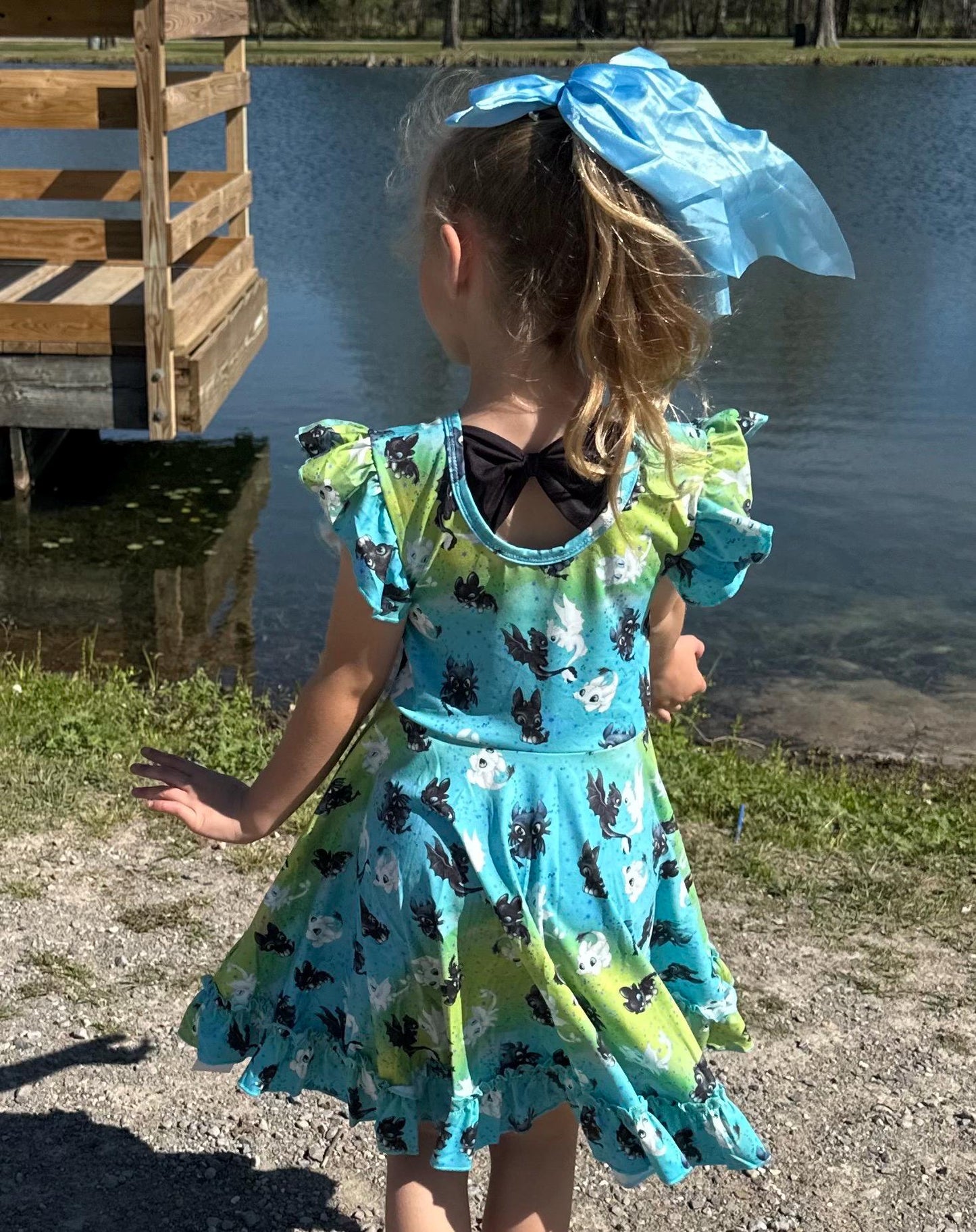 Dragon Training Bow Back Twirl Dress