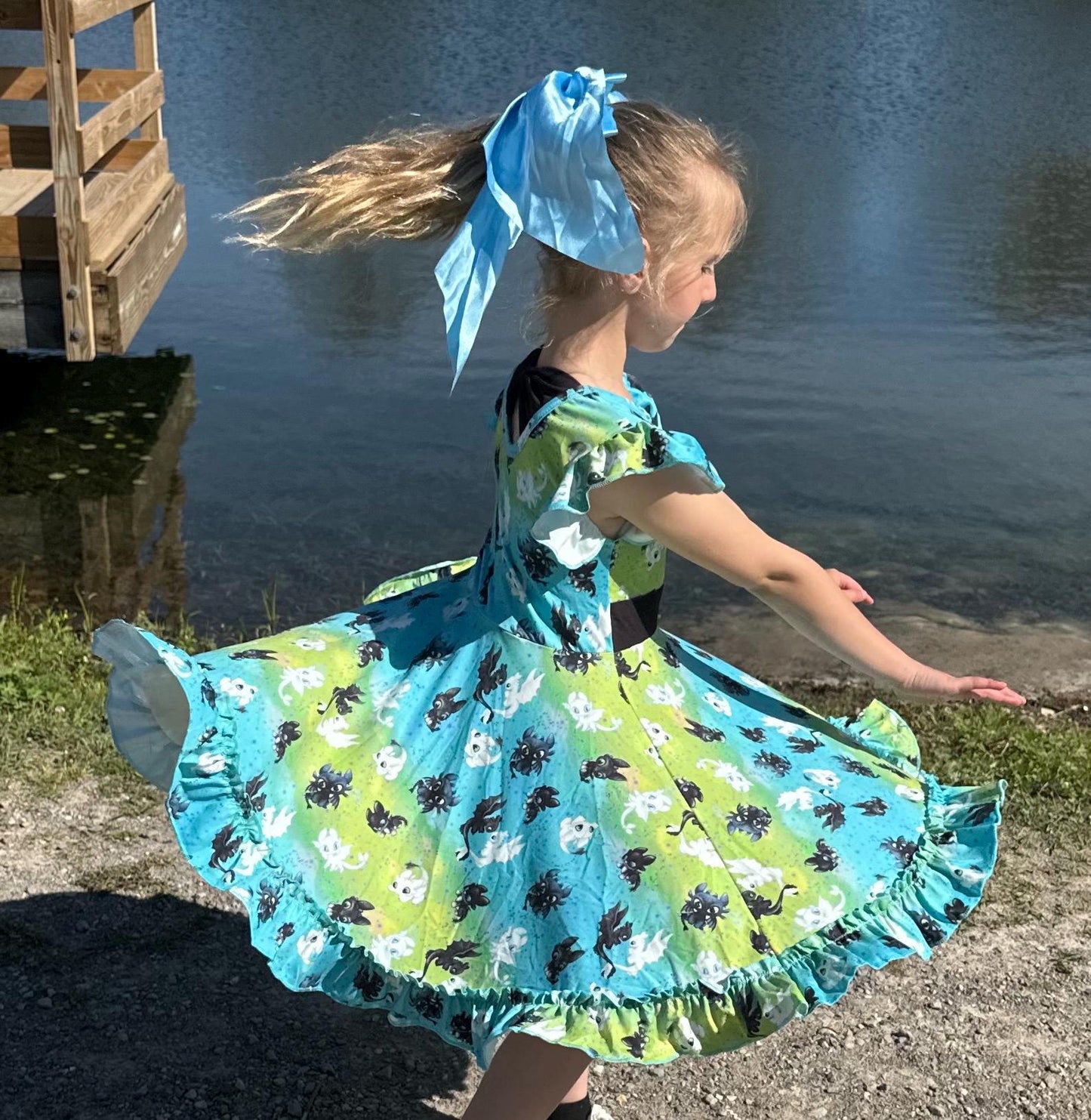 Dragon Training Bow Back Twirl Dress