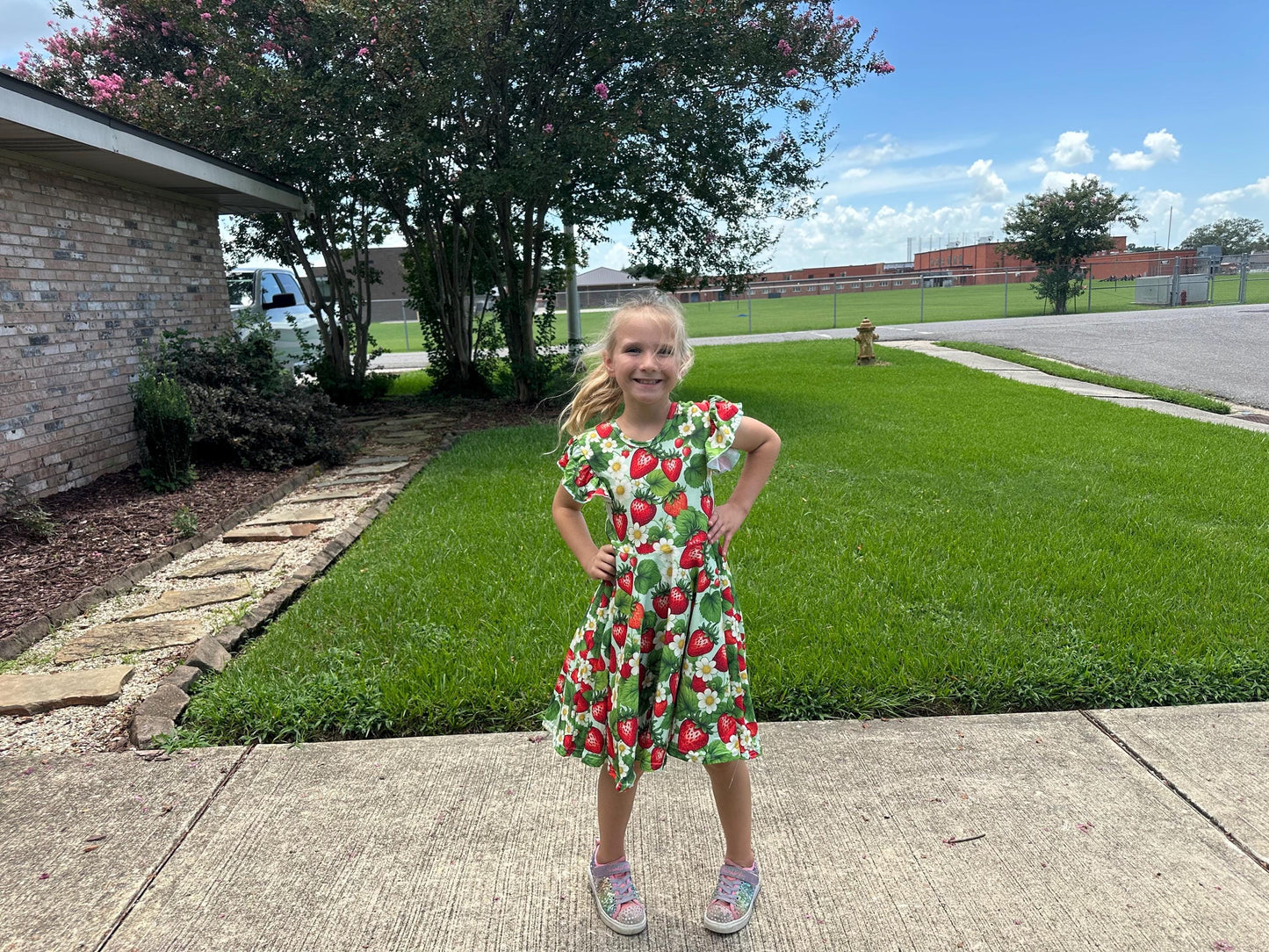 Strawberry Bow Back Twirl Dress