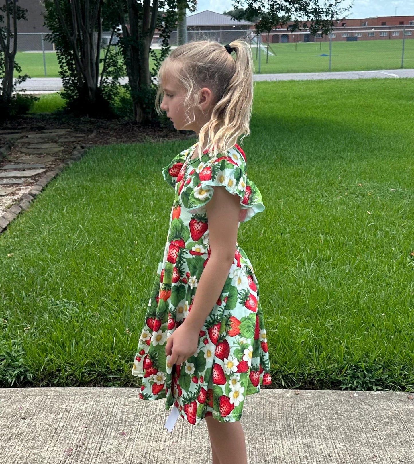 Strawberry Bow Back Twirl Dress