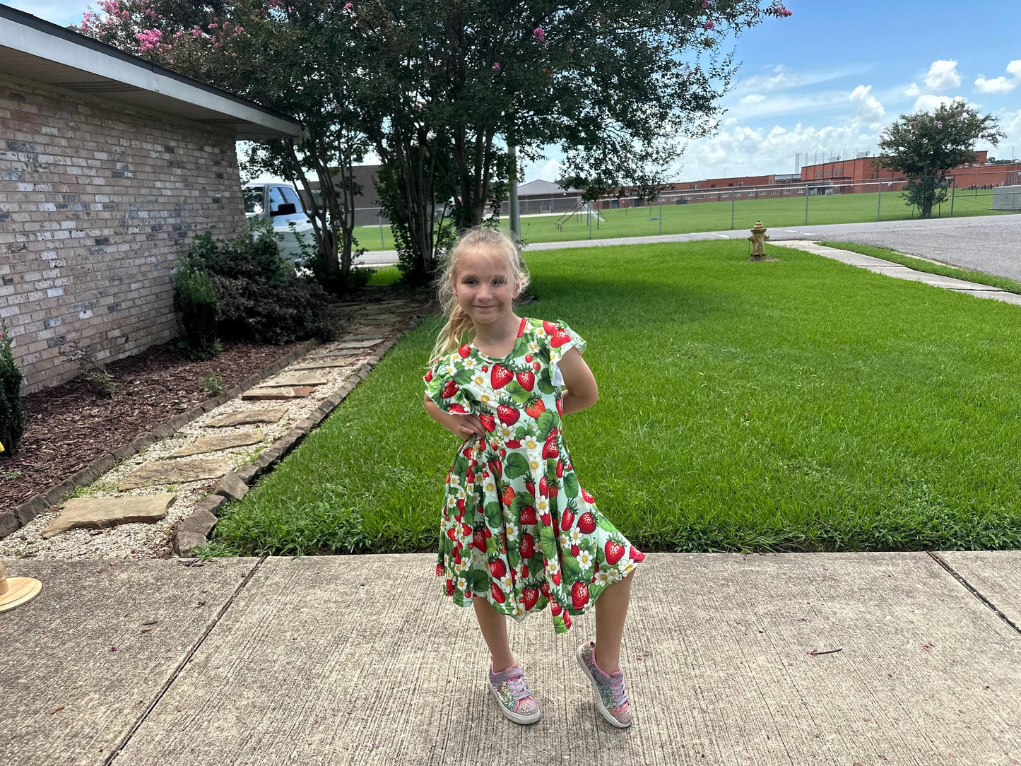 Strawberry Bow Back Twirl Dress