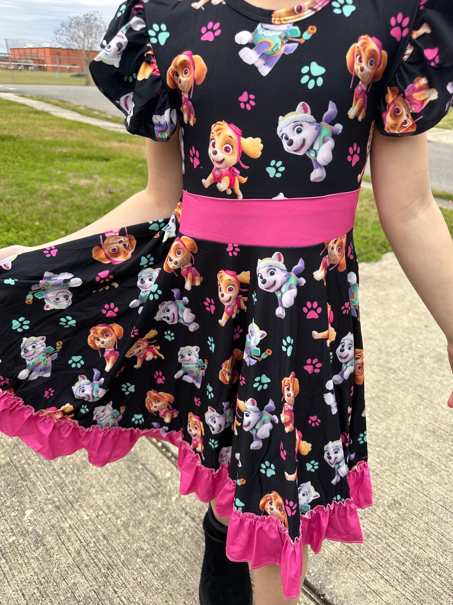 Super Hero Pups Bow Back Twirl Dress