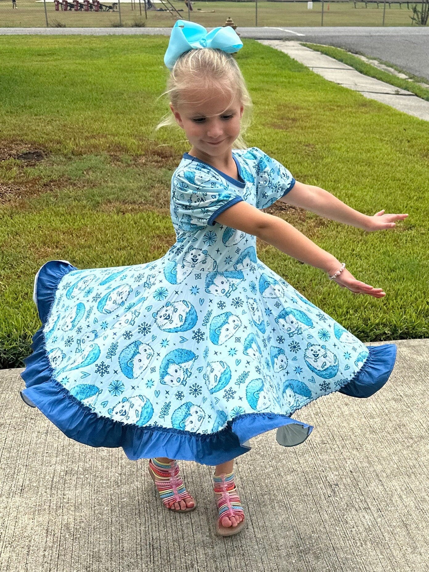 Hedgehog Snowflake Twirl Dress