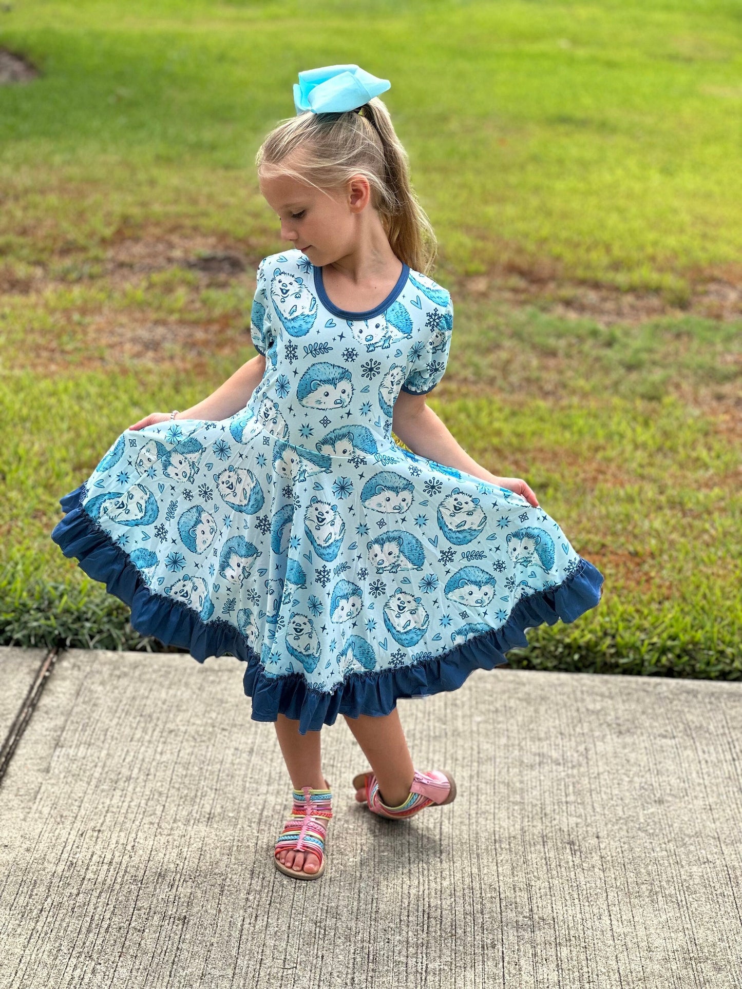 Hedgehog Snowflake Twirl Dress