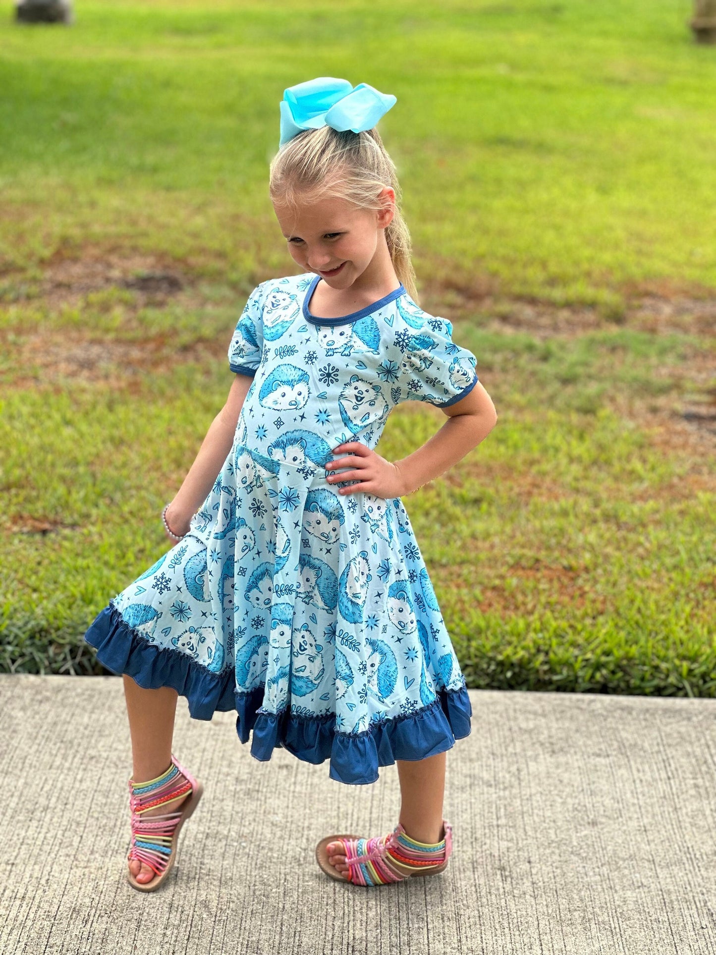 Hedgehog Snowflake Twirl Dress