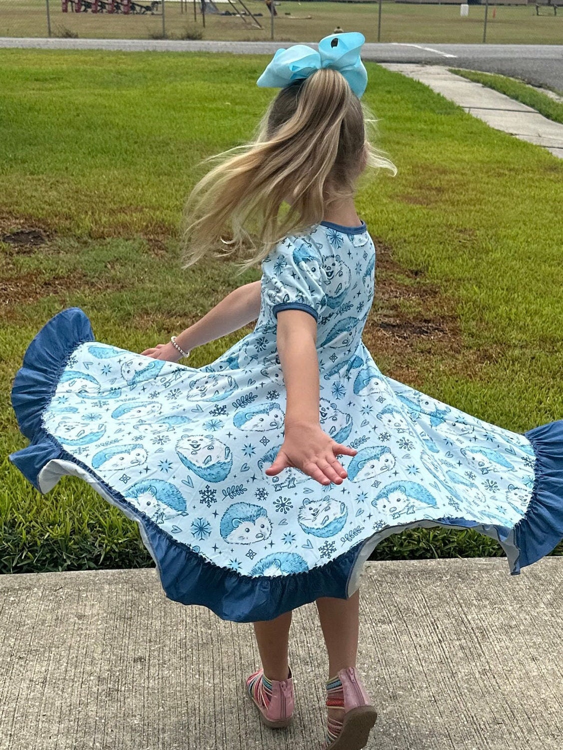 Hedgehog Snowflake Twirl Dress