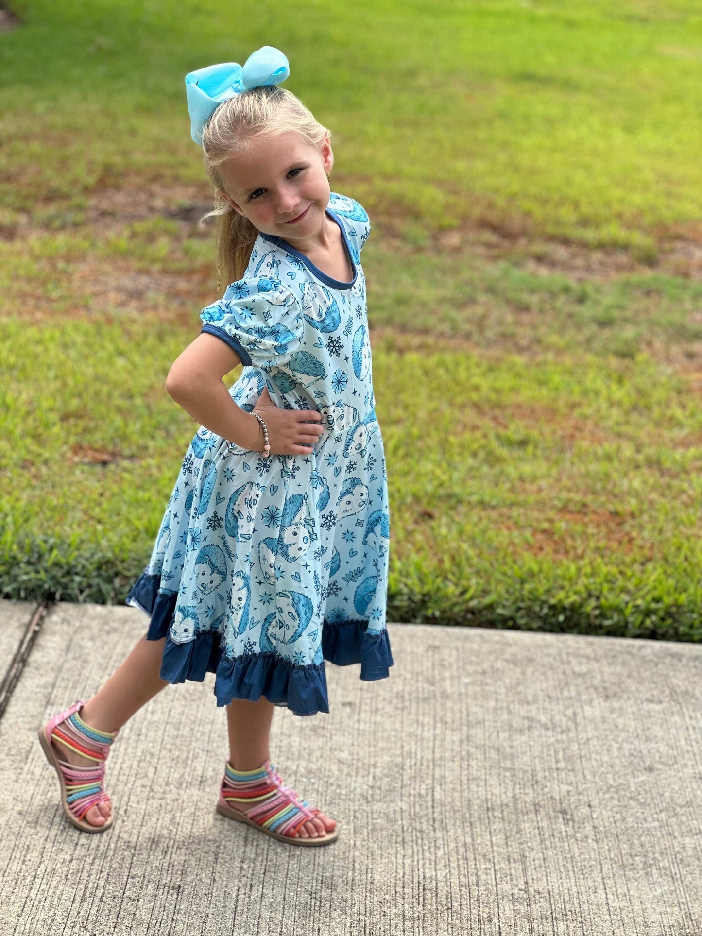 Hedgehog Snowflake Twirl Dress