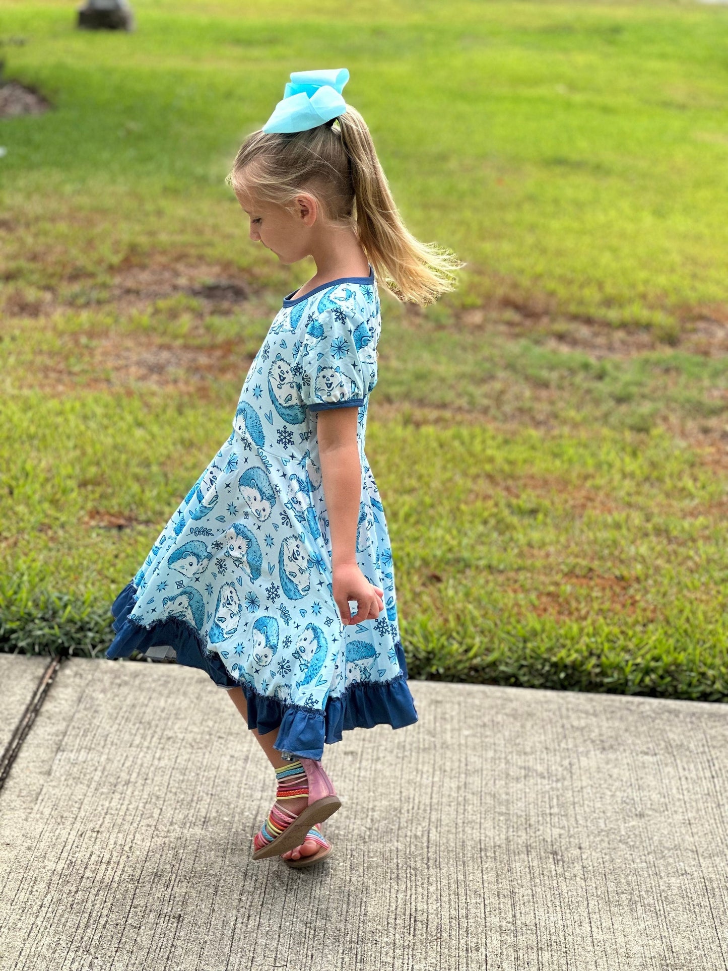 Hedgehog Snowflake Twirl Dress