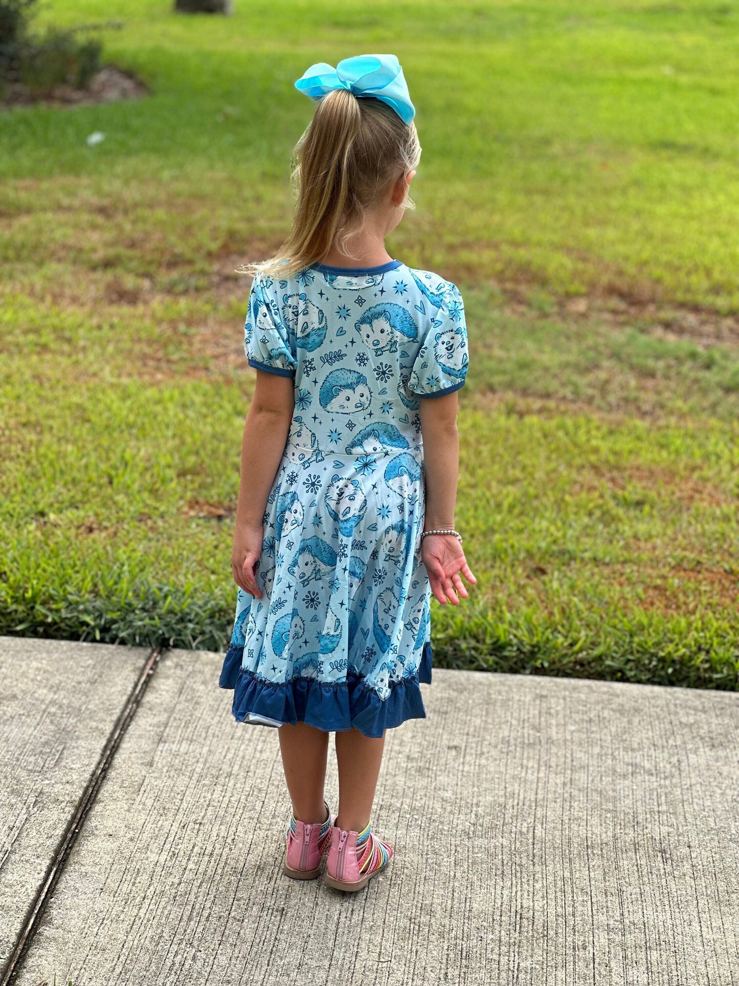 Hedgehog Snowflake Twirl Dress