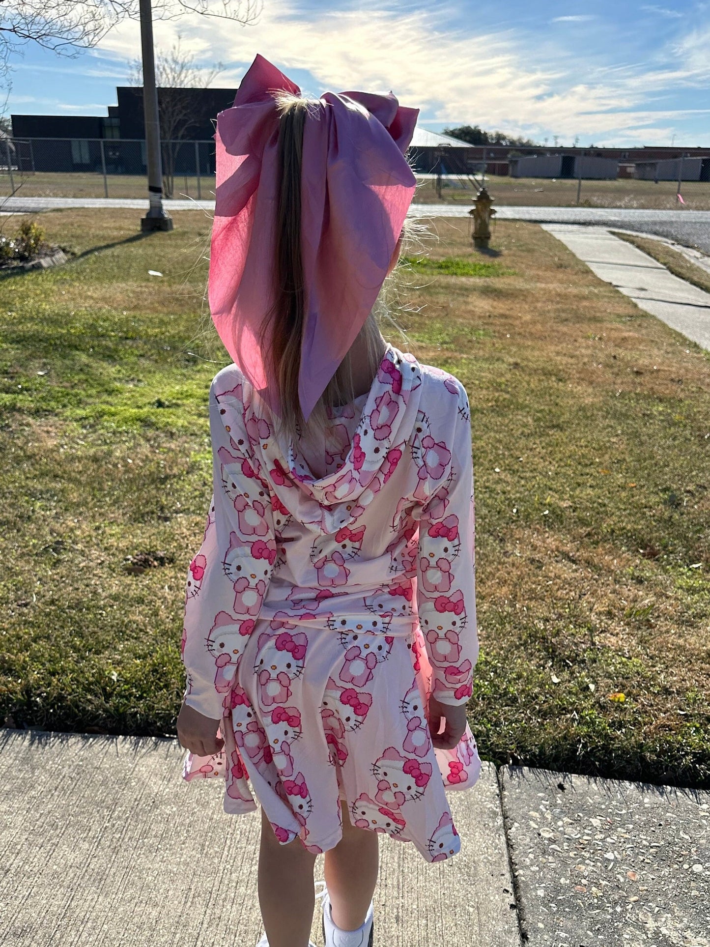 Pink Kitty hooded Twirl skirt