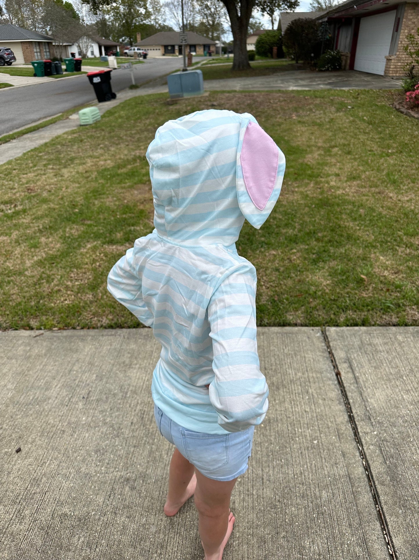 Blue Bunny Eared Hoodie