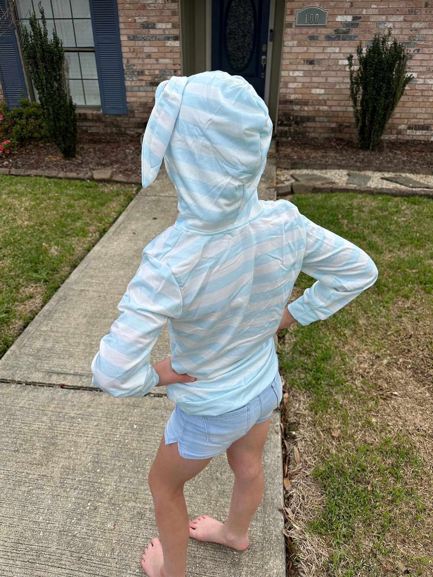 Blue Bunny Eared Hoodie