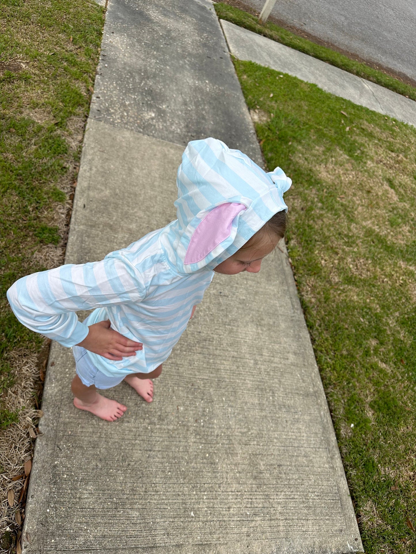 Blue Bunny Eared Hoodie