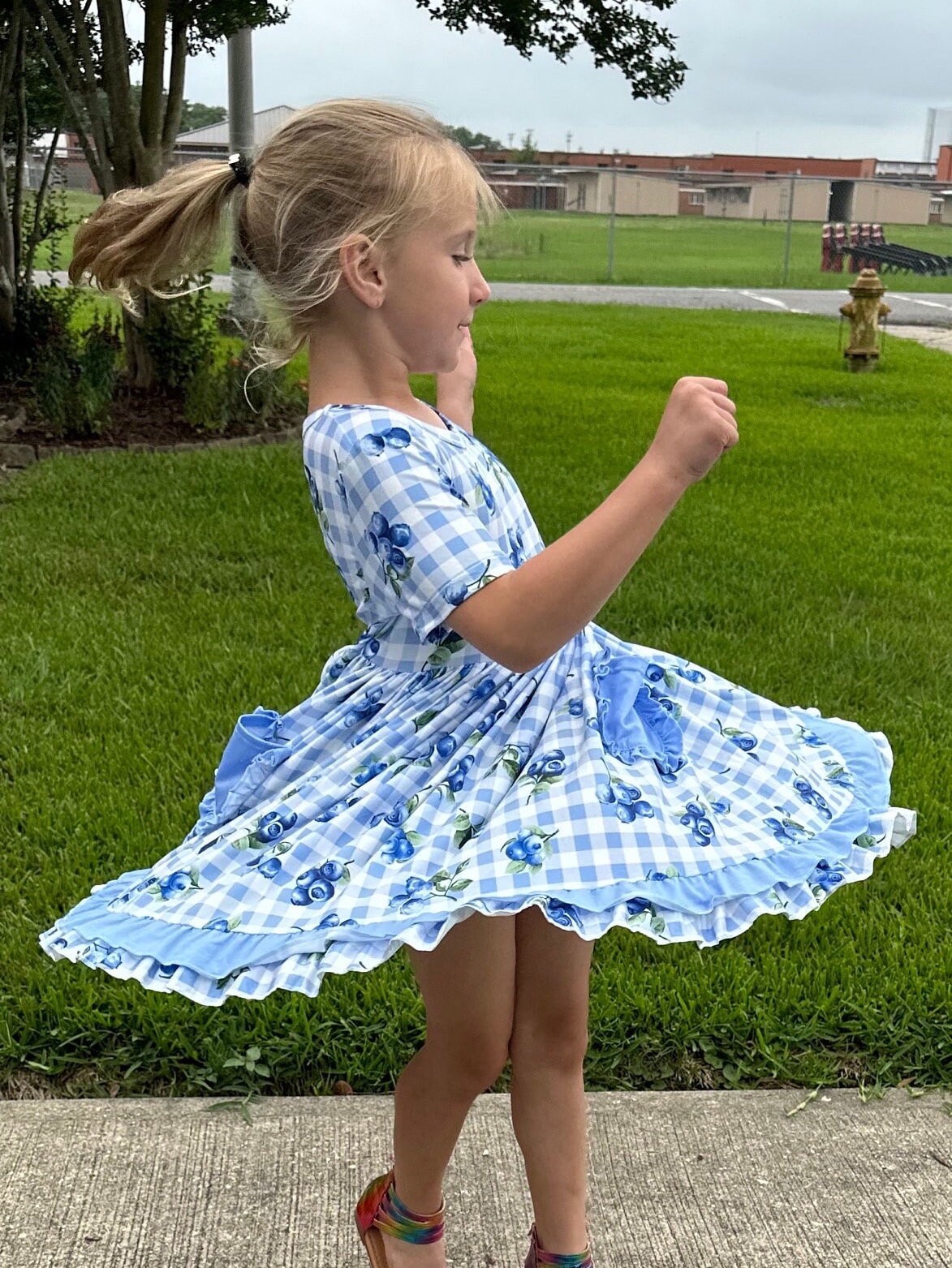 Blueberry pocket twirl dress