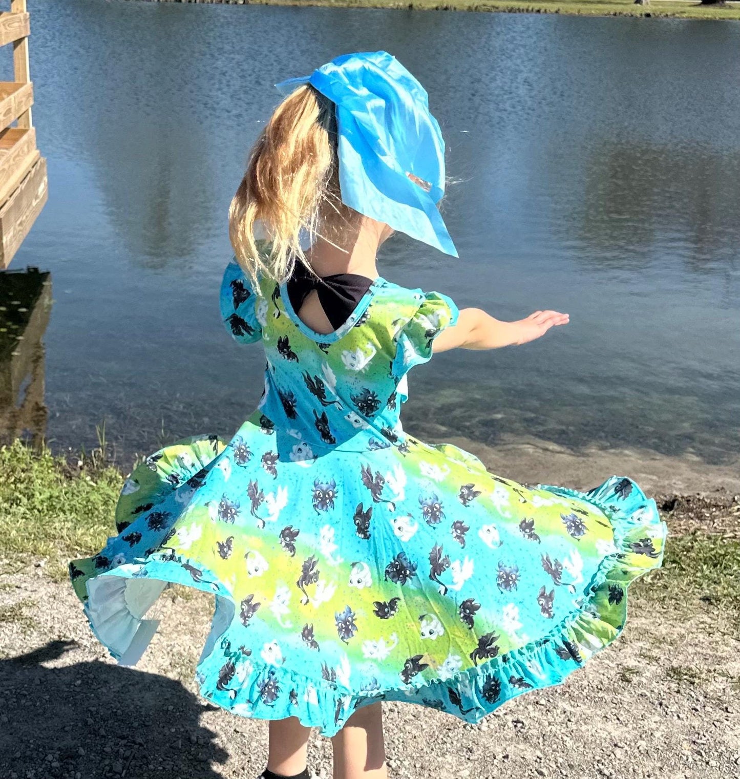 Dragon Training Bow Back Twirl Dress