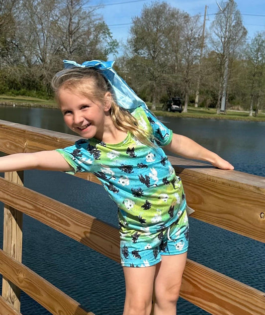 Dragon Training Short set